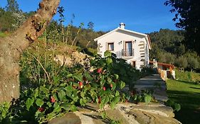 A Casa Dos Avos - Alojamento Local